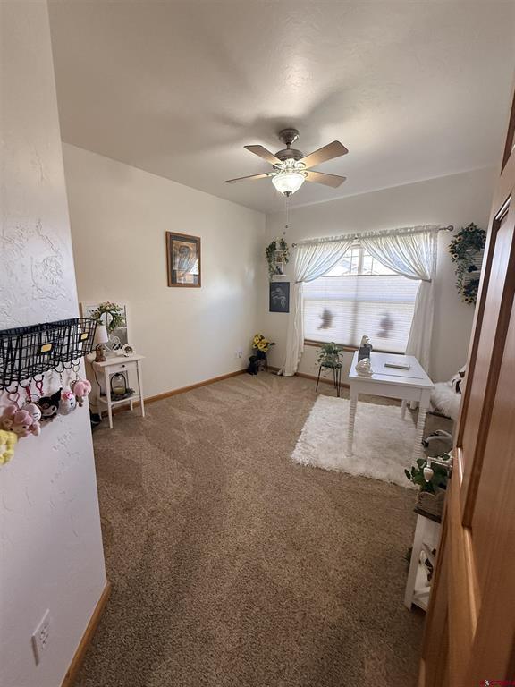 3812 Lone Tree Lane Montrose CO 81403