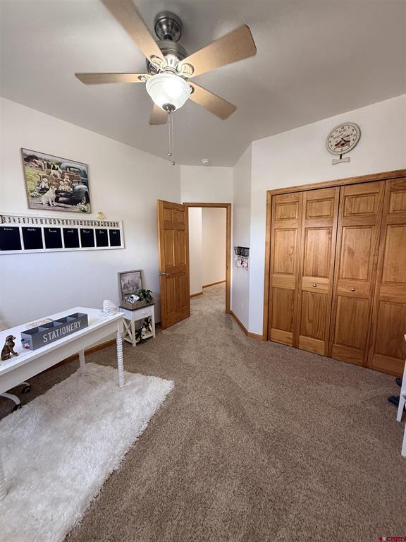 3812 Lone Tree Lane Montrose CO 81403