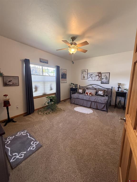 3812 Lone Tree Lane Montrose CO 81403