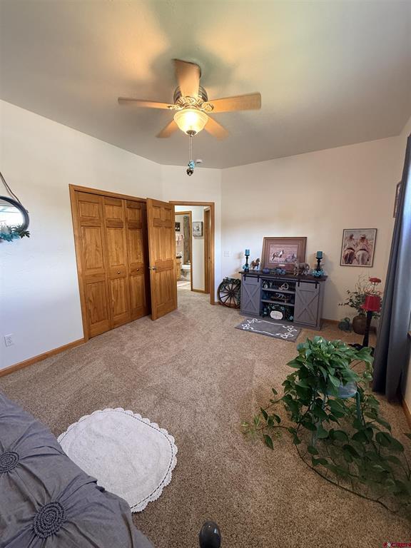 3812 Lone Tree Lane Montrose CO 81403