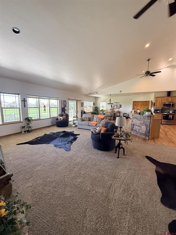 3812 Lone Tree Lane Montrose CO 81403