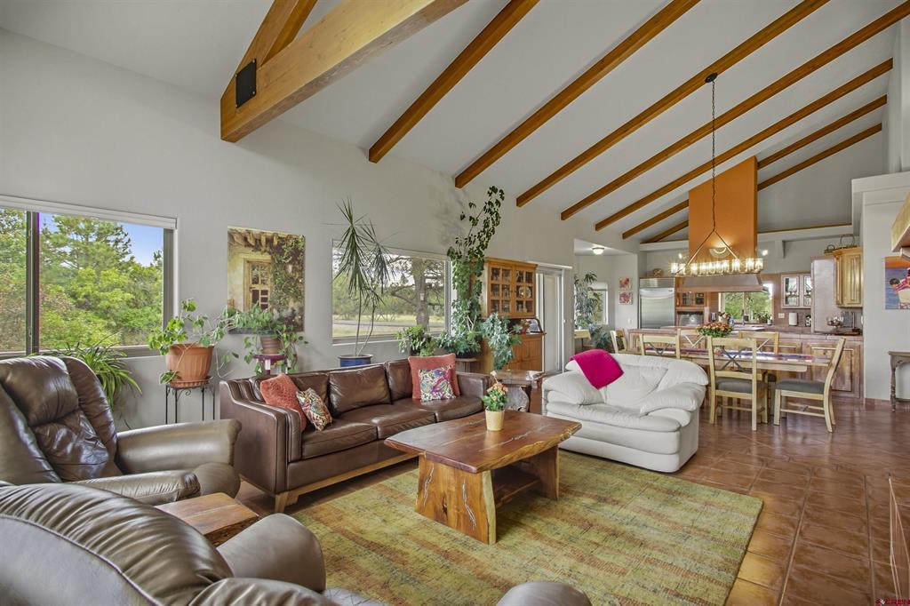 171 Glen Eaton Drive Pagosa Springs CO 81147