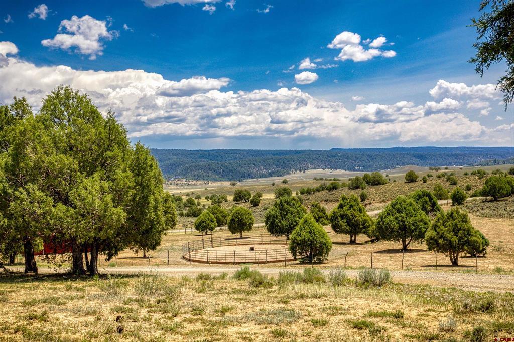 567 Tall Pine Place Pagosa Springs CO 81147