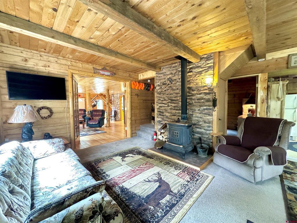 0 Forest Road Del Norte CO 81132