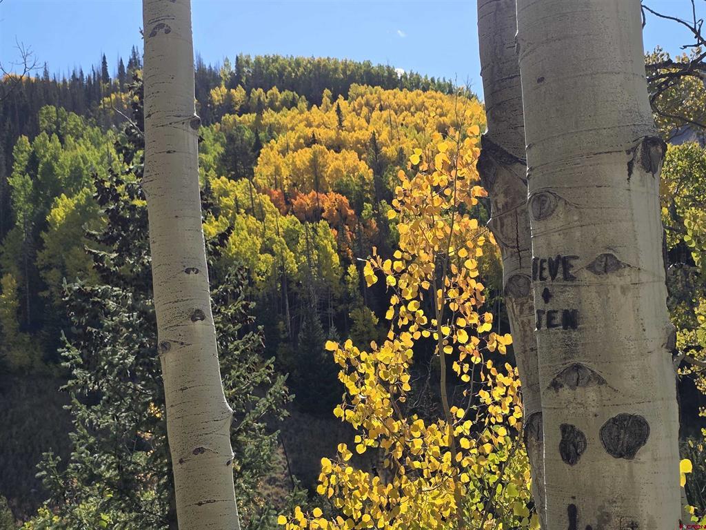 0 Forest Road Del Norte CO 81132