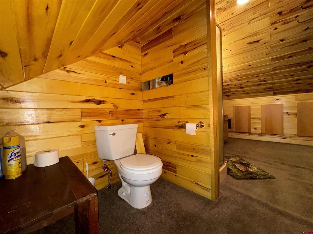 0 Forest Road Del Norte CO 81132