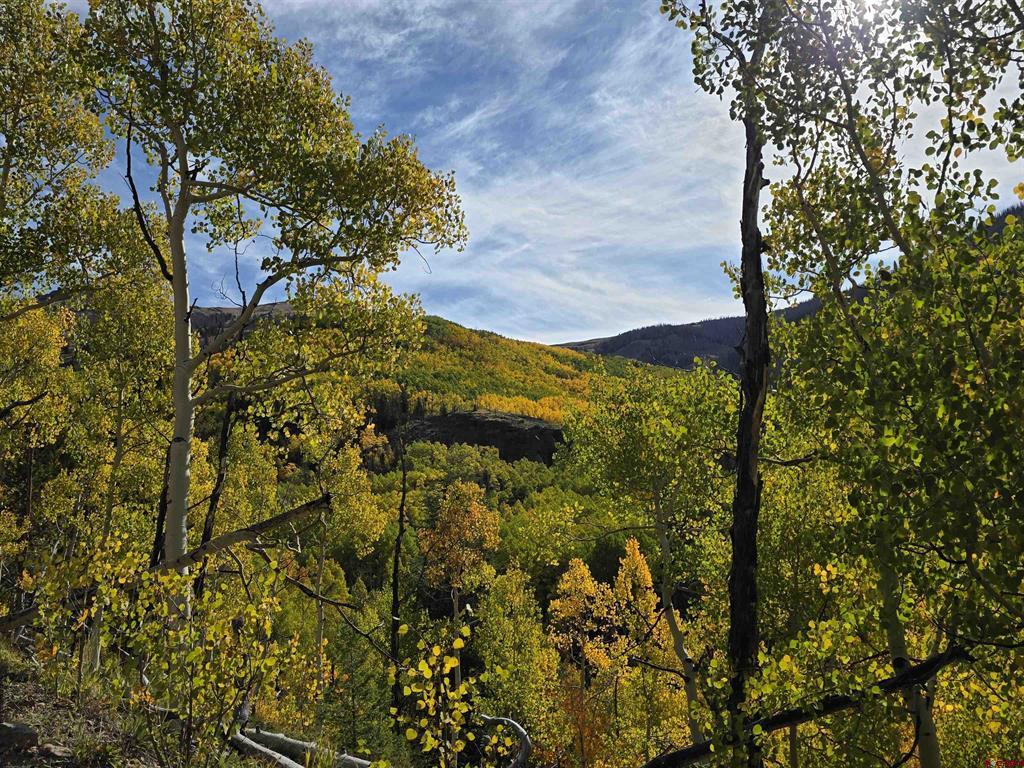 0 Forest Road Del Norte CO 81132