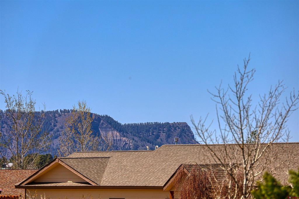 689 Midiron Avenue Pagosa Springs CO 81147