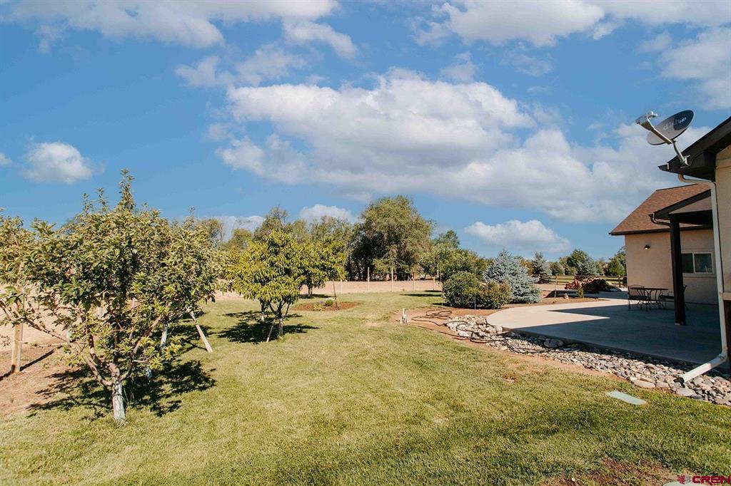 60110 Kiowa Lane Montrose CO 81403