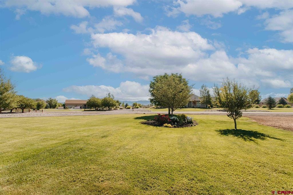 60110 Kiowa Lane Montrose CO 81403