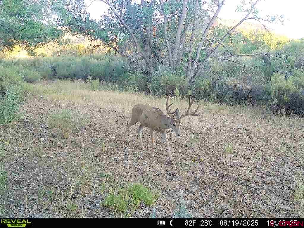 5900 Road 25 Cortez CO 81321
