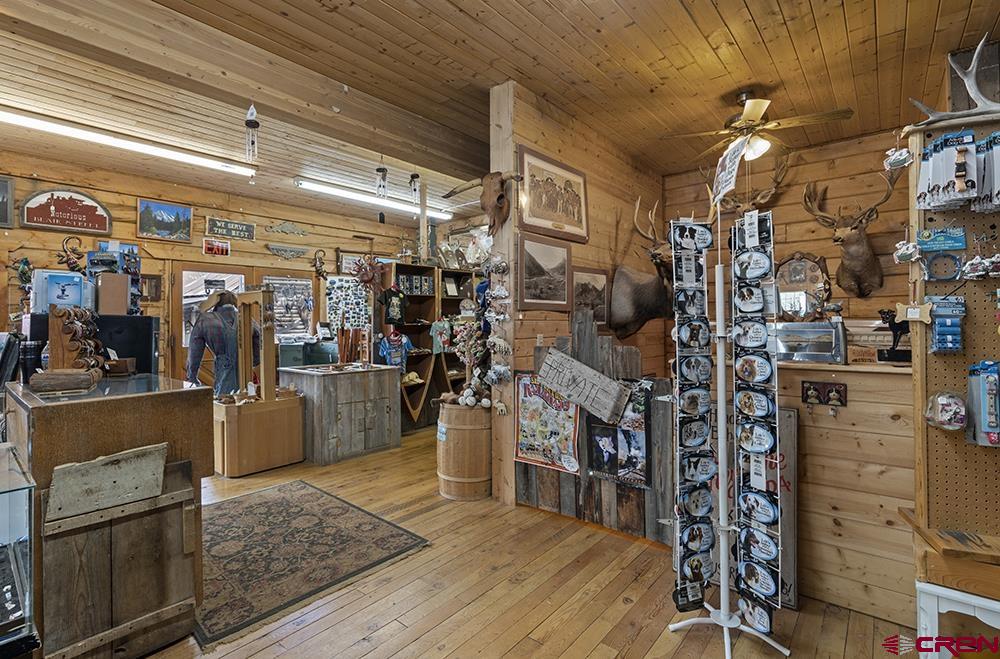 1135 Blair Street Silverton CO 81433