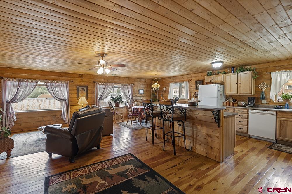 1135 Blair Street Silverton CO 81433