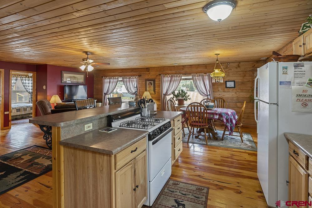 1135 Blair Street Silverton CO 81433