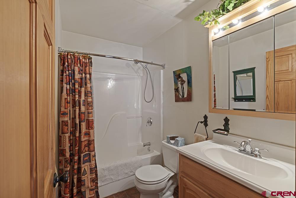 1135 Blair Street Silverton CO 81433