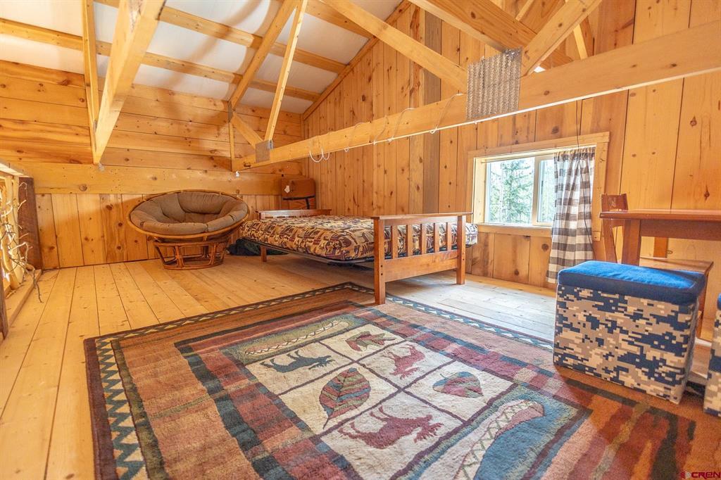 501 Last Chance Road Creede CO 81130