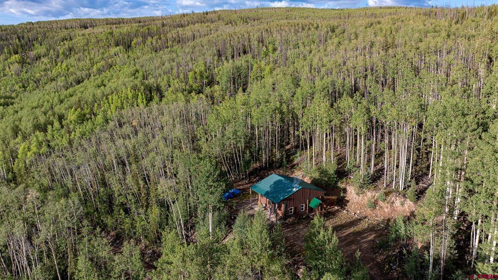 501 Last Chance Road Creede CO 81130