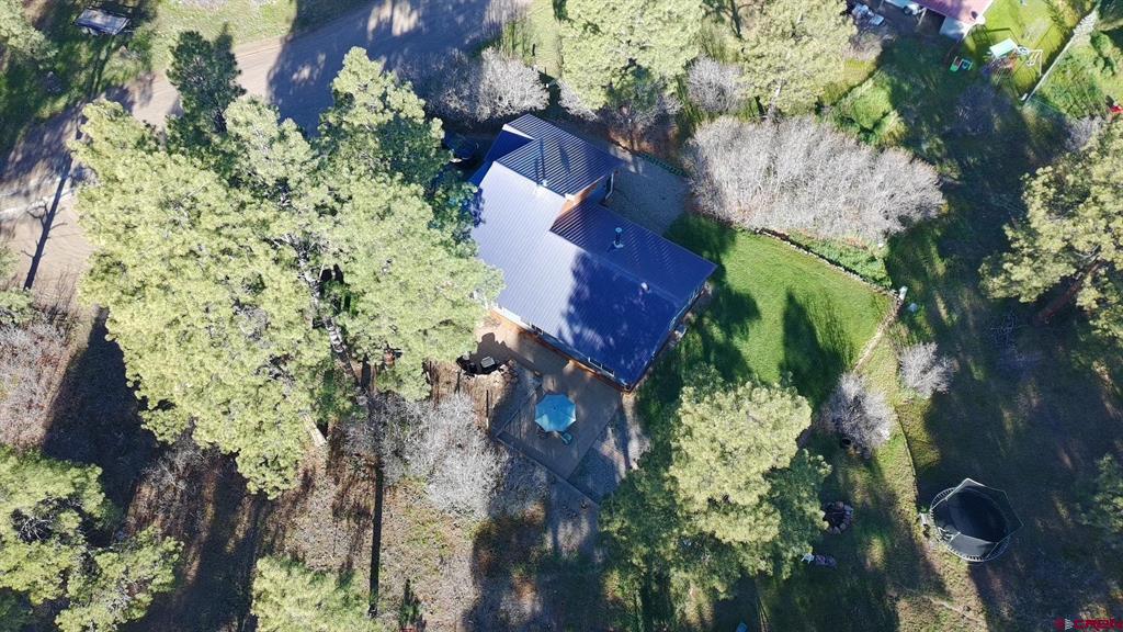 80 Jubilee Court Pagosa Springs CO 81147