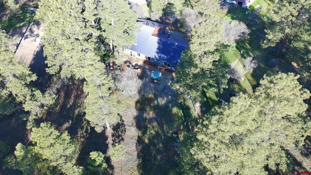 80 Jubilee Court Pagosa Springs CO 81147