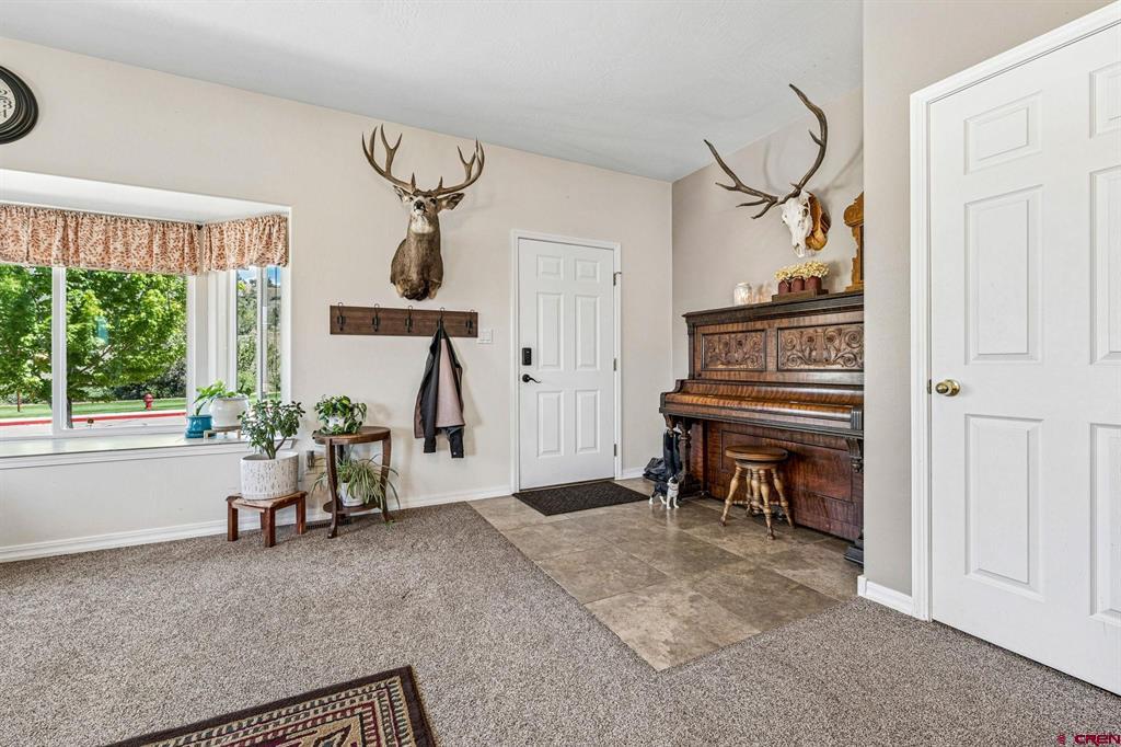 531 Angel Way Mancos CO 81328