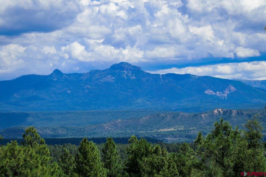 994 Cool Pines Drive Pagosa Springs CO 81147