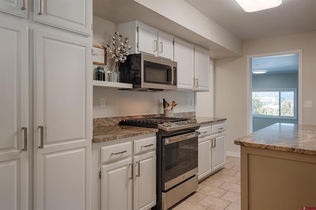 711 Terrace Drive Ridgway CO 81432
