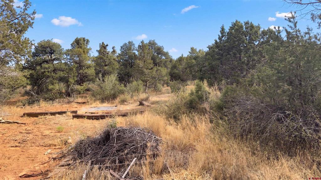 29018 Highway 160 Durango CO 81303