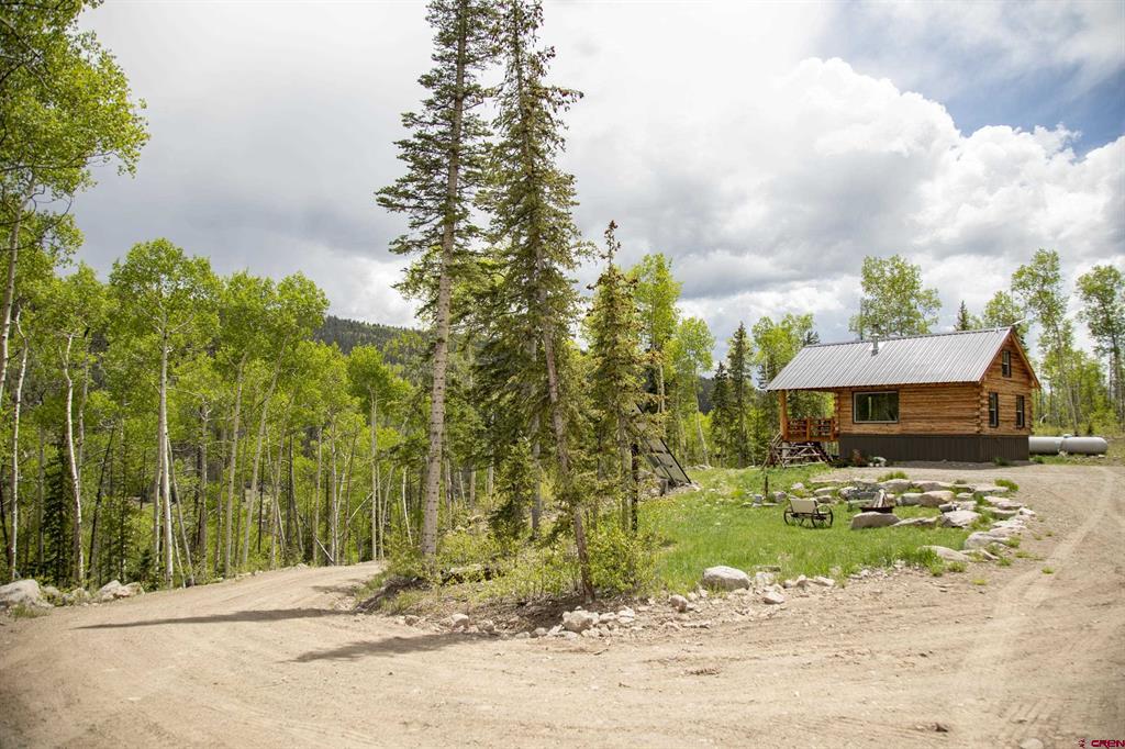 5565 Forest Rd 504 Road Creede CO 81130