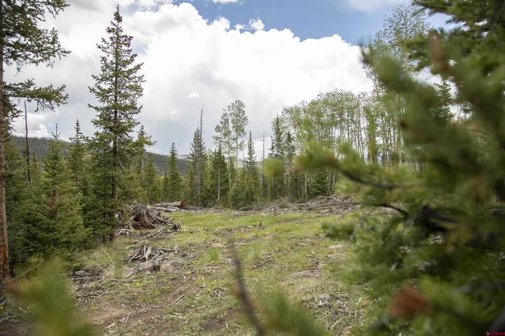 5565 Forest Rd 504 Road Creede CO 81130