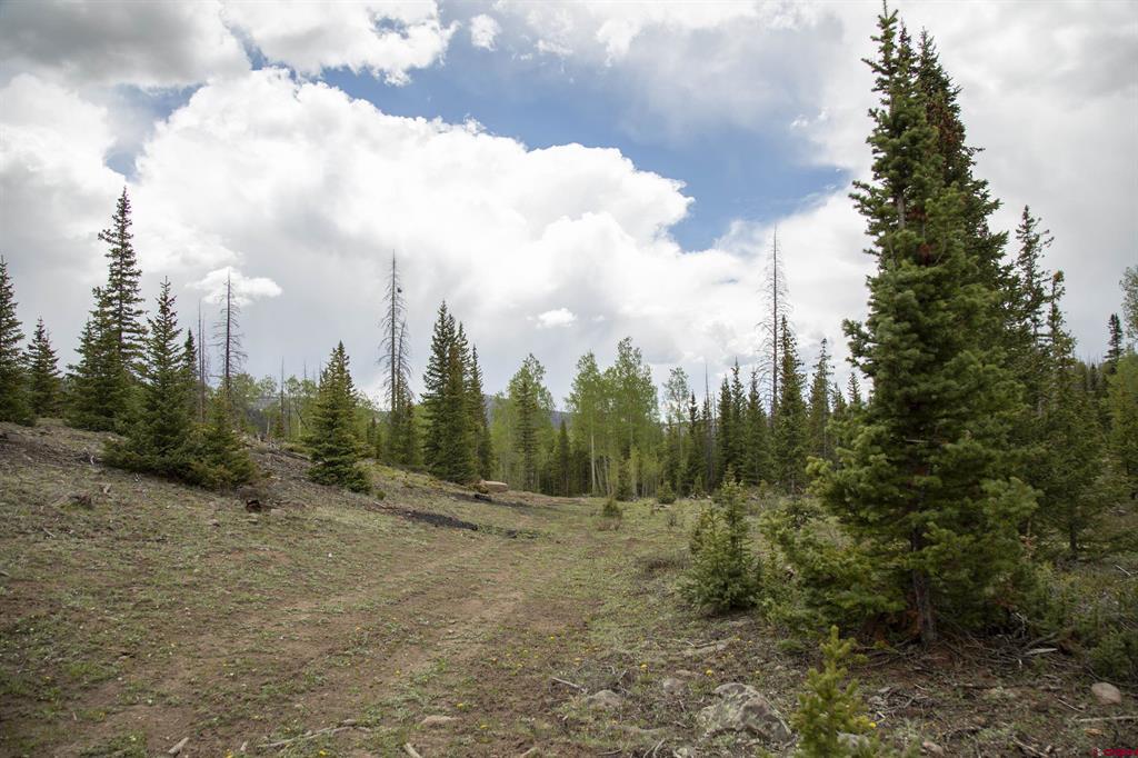 5565 Forest Rd 504 Road Creede CO 81130