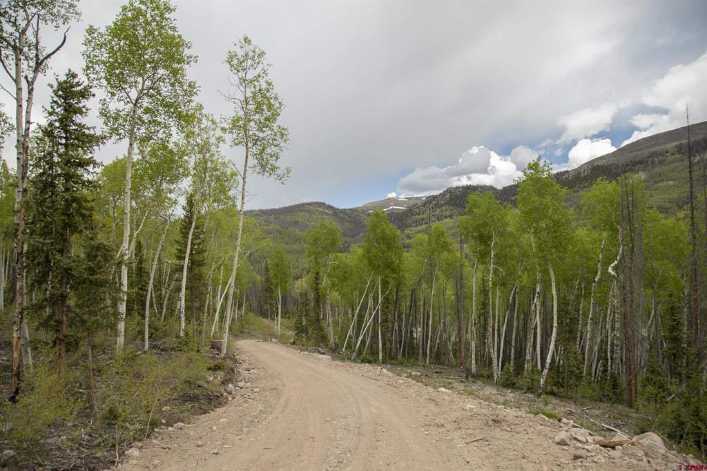 5565 Forest Rd 504 Road Creede CO 81130