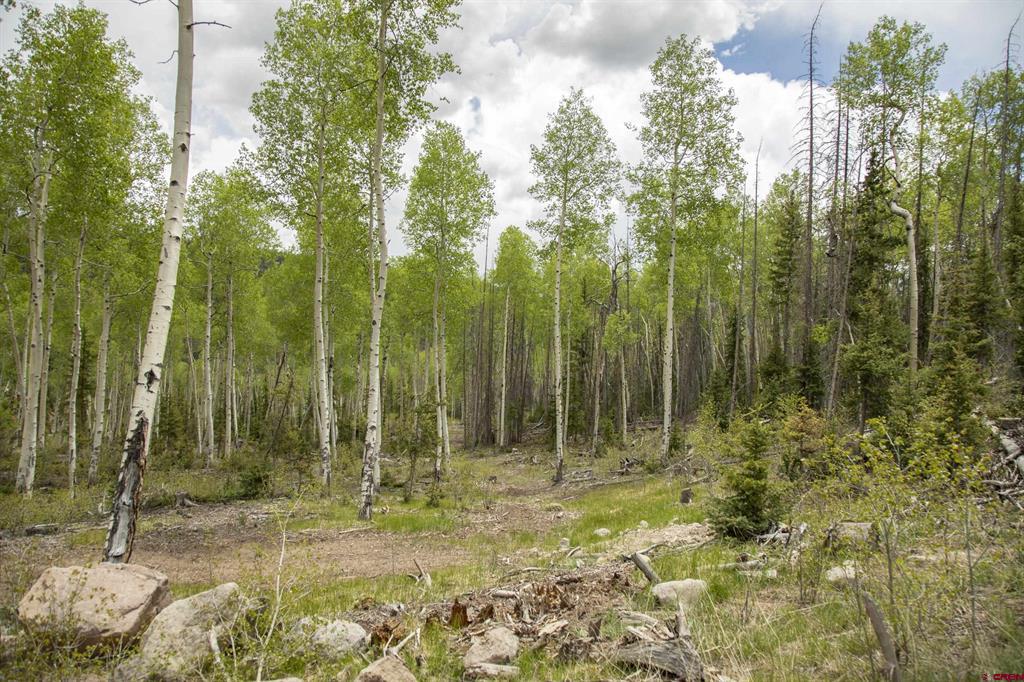 5565 Forest Rd 504 Road Creede CO 81130