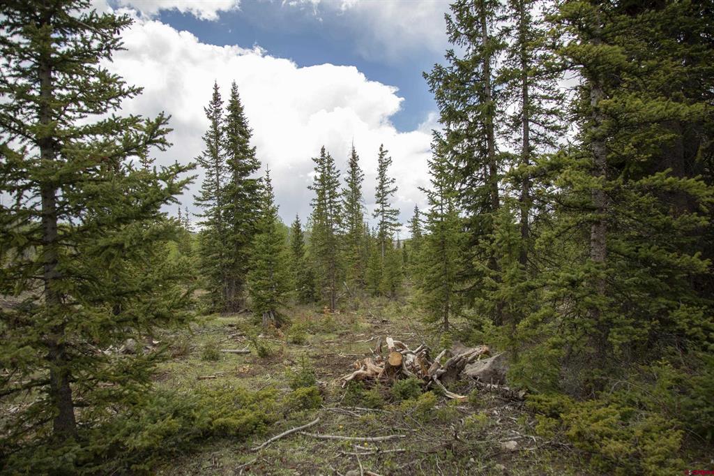 5565 Forest Rd 504 Road Creede CO 81130