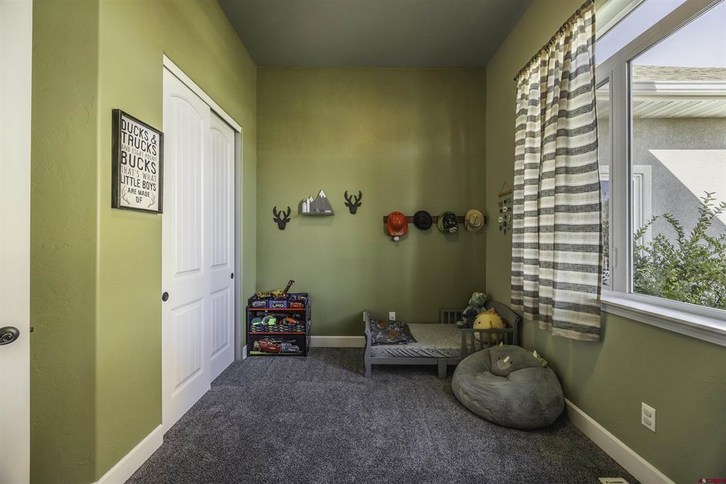 3450 Honey Locust Drive Montrose CO 81401