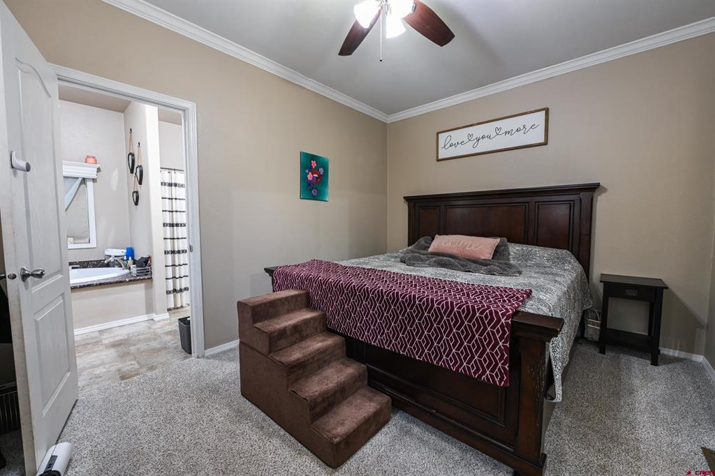 46 Ponderosa Lane Gunnison CO 81230