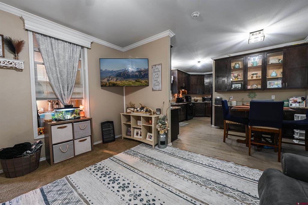46 Ponderosa Lane Gunnison CO 81230