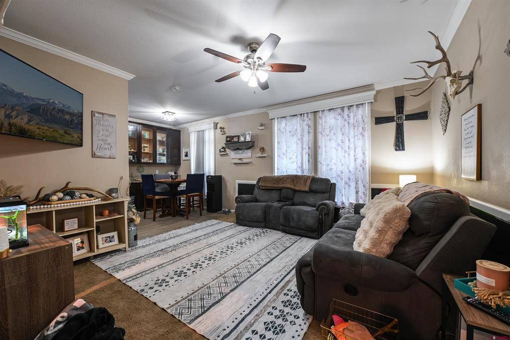 46 Ponderosa Lane Gunnison CO 81230