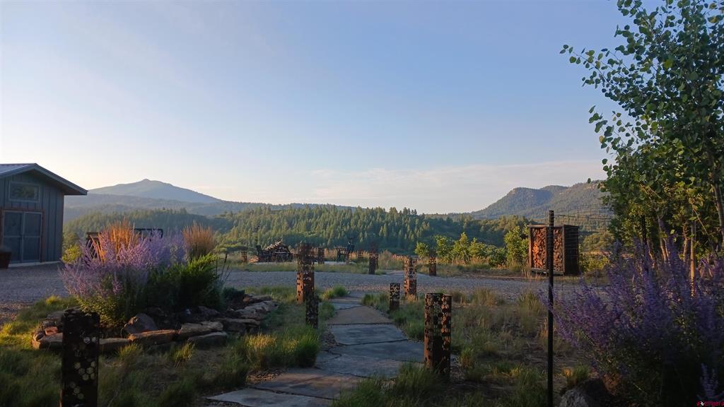 701 Henry's Lake Drive Pagosa Springs CO 81147