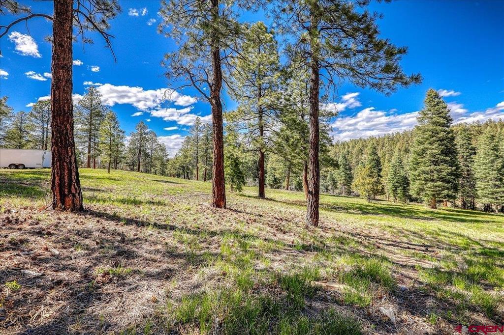 1798 Ranchland Drive Pagosa Springs CO 81147