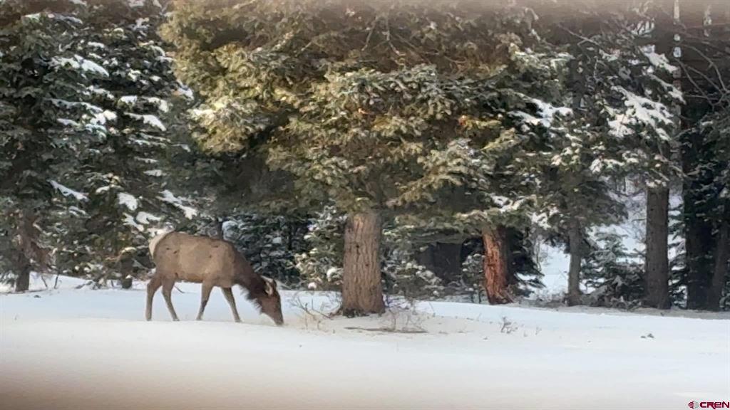 1798 Ranchland Drive Pagosa Springs CO 81147