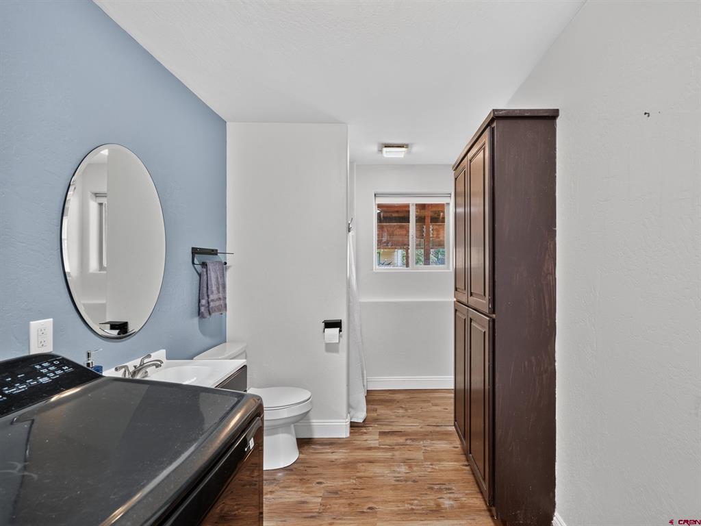 706 Lupine Bayfield CO 81122