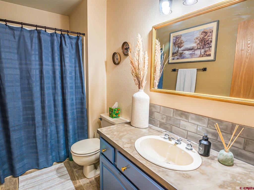 1323 Manchester Drive Montrose CO 81401