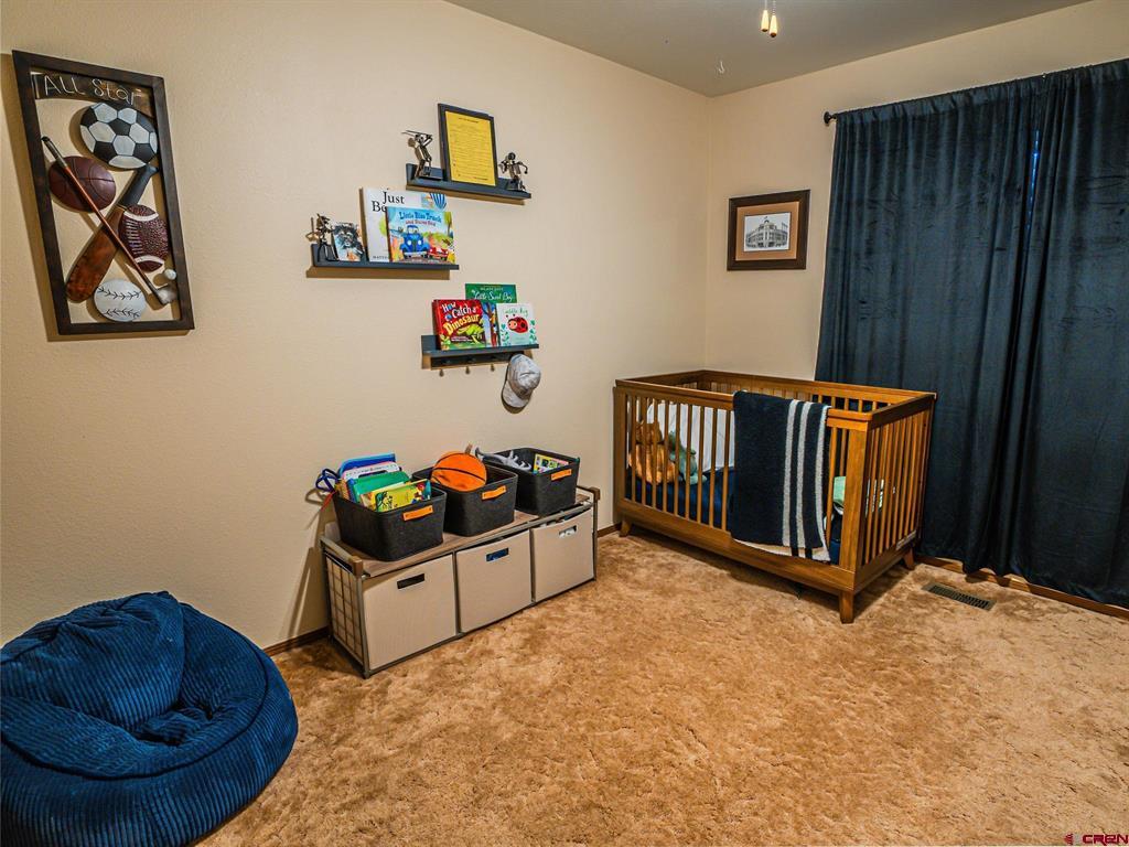 1323 Manchester Drive Montrose CO 81401