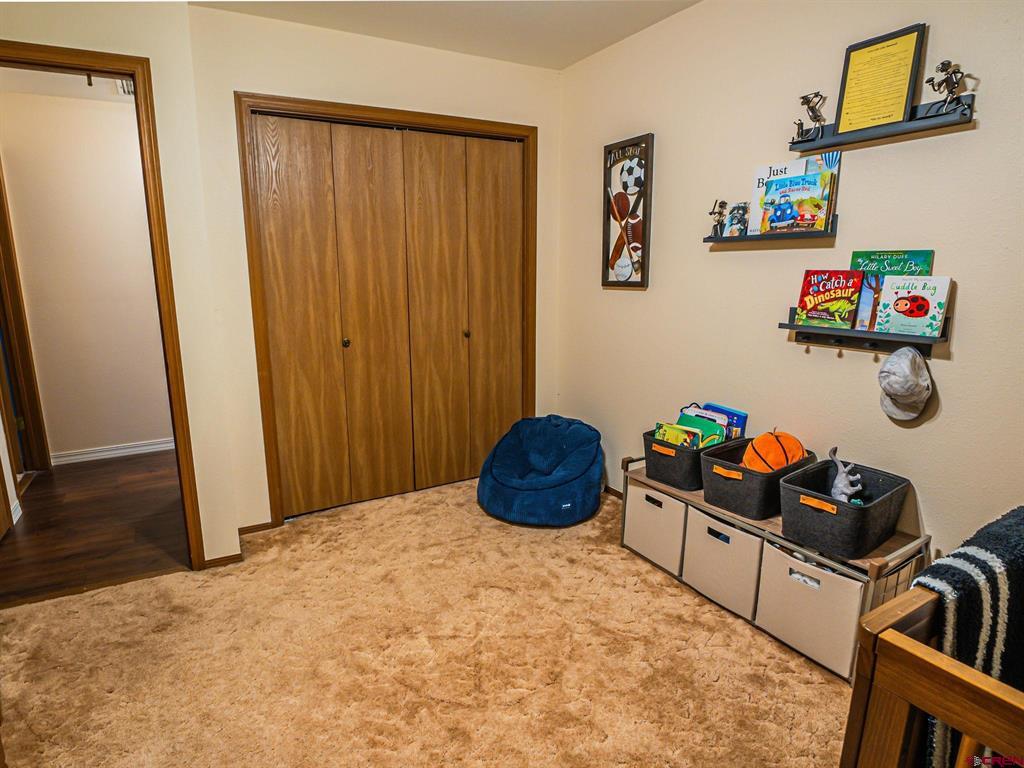 1323 Manchester Drive Montrose CO 81401