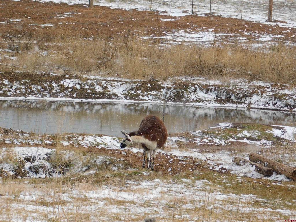 20050 Road S.7 Cortez CO 81321