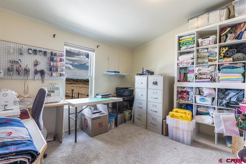 9880 County Road 100 Hesperus CO 81326