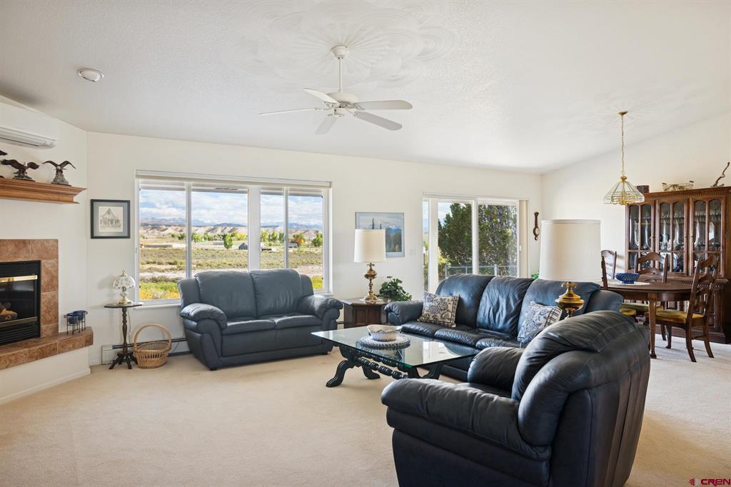 16168 6794 Court Montrose CO 81401