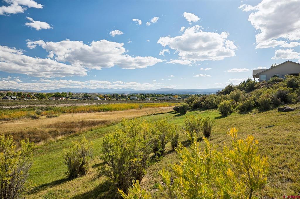 16168 6794 Court Montrose CO 81401