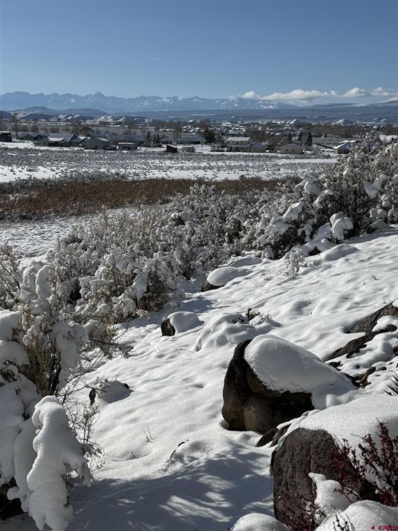 16168 6794 Court Montrose CO 81401