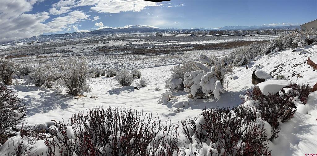 16168 6794 Court Montrose CO 81401